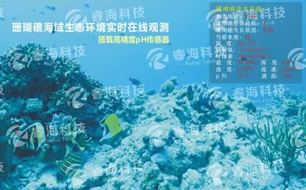 海洋觀測系統(tǒng):水下波浪在線觀測系統(tǒng)